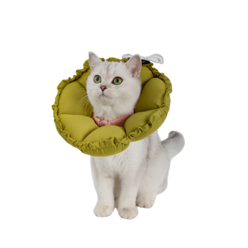 Cat Products