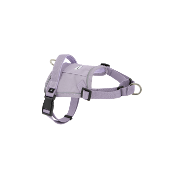 Pet Chest Harness