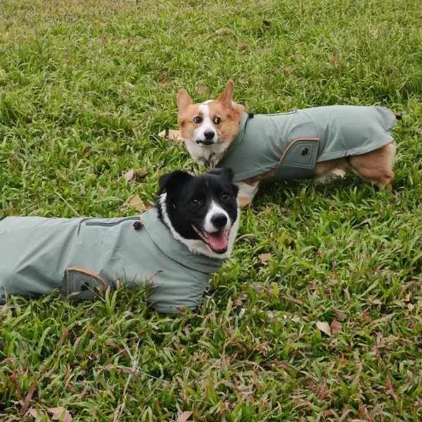 EverTrek Outdoor All-Weather Dog Jacket photo review