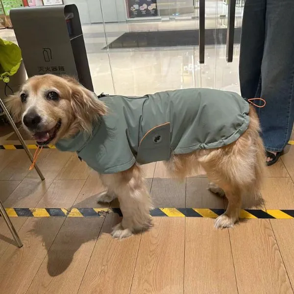 EverTrek Outdoor All-Weather Dog Jacket photo review