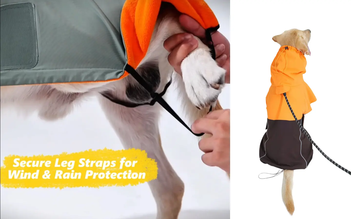 Dog wearing bright orange and brown raincoat with secure leg straps for wind and rain protection