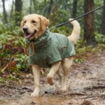 Measurement of the four-legged dog raincoat size