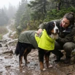 Soft dog raincoat material selection